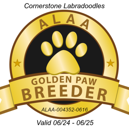 Cornerstone GOLDEN PAW 2024-1