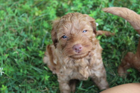 0779DA46-3CDE-442C-BC87-2E74032E144A