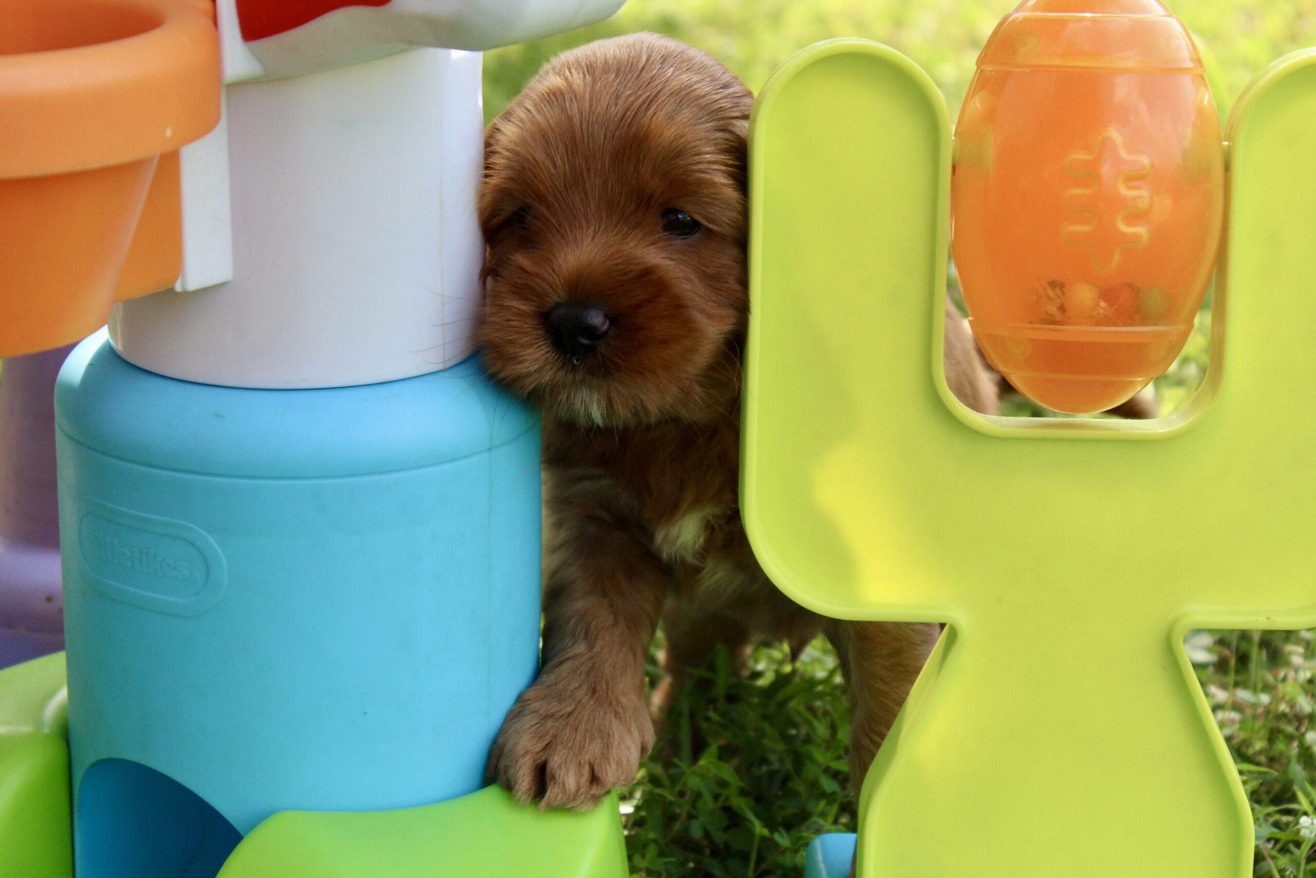 1AF10A32-D5FA-4481-B481-73DBC596EF85_1_201_a