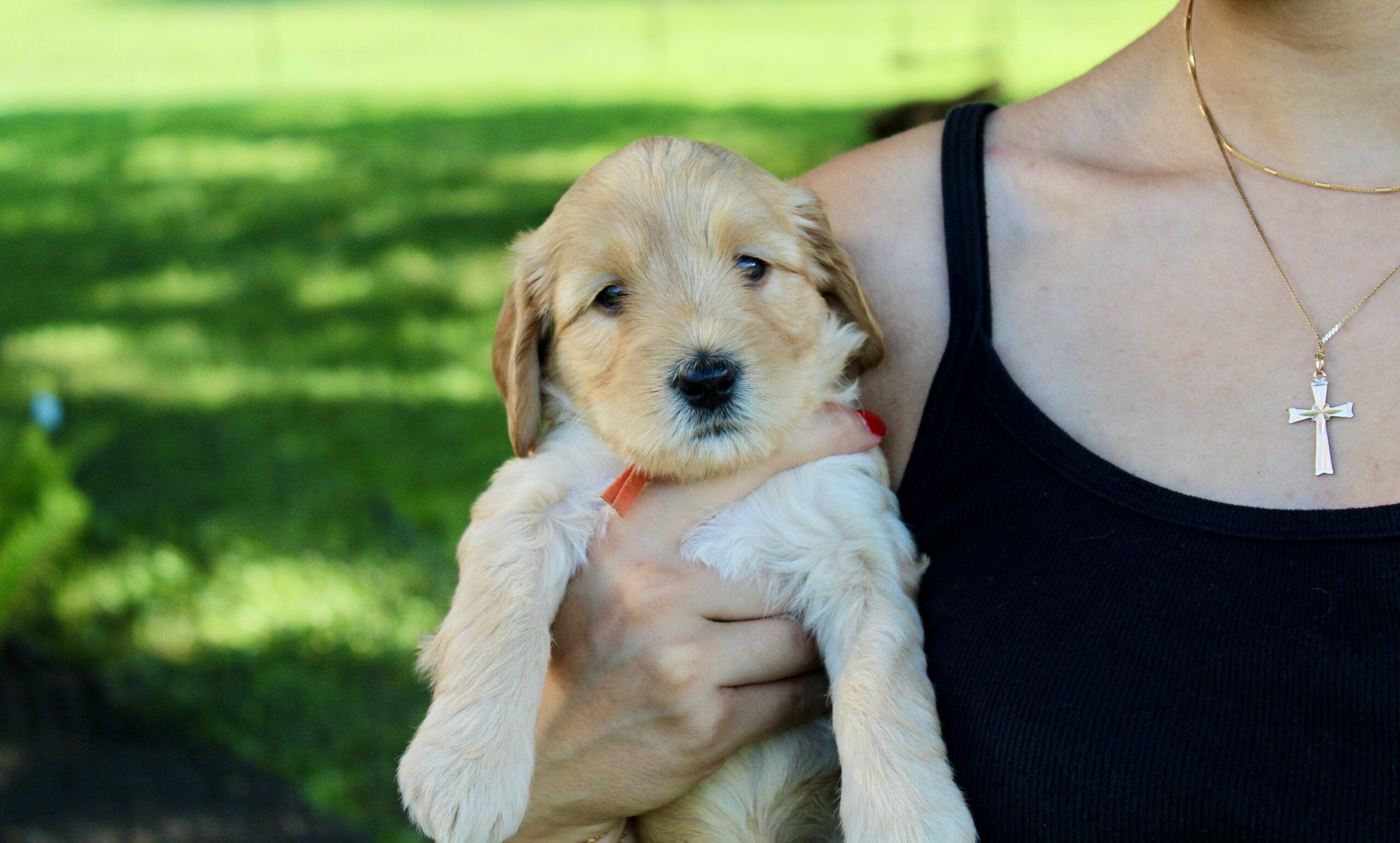 1F2FA579-0B91-45B4-8841-3AE0D1F5B97D_1_201_a