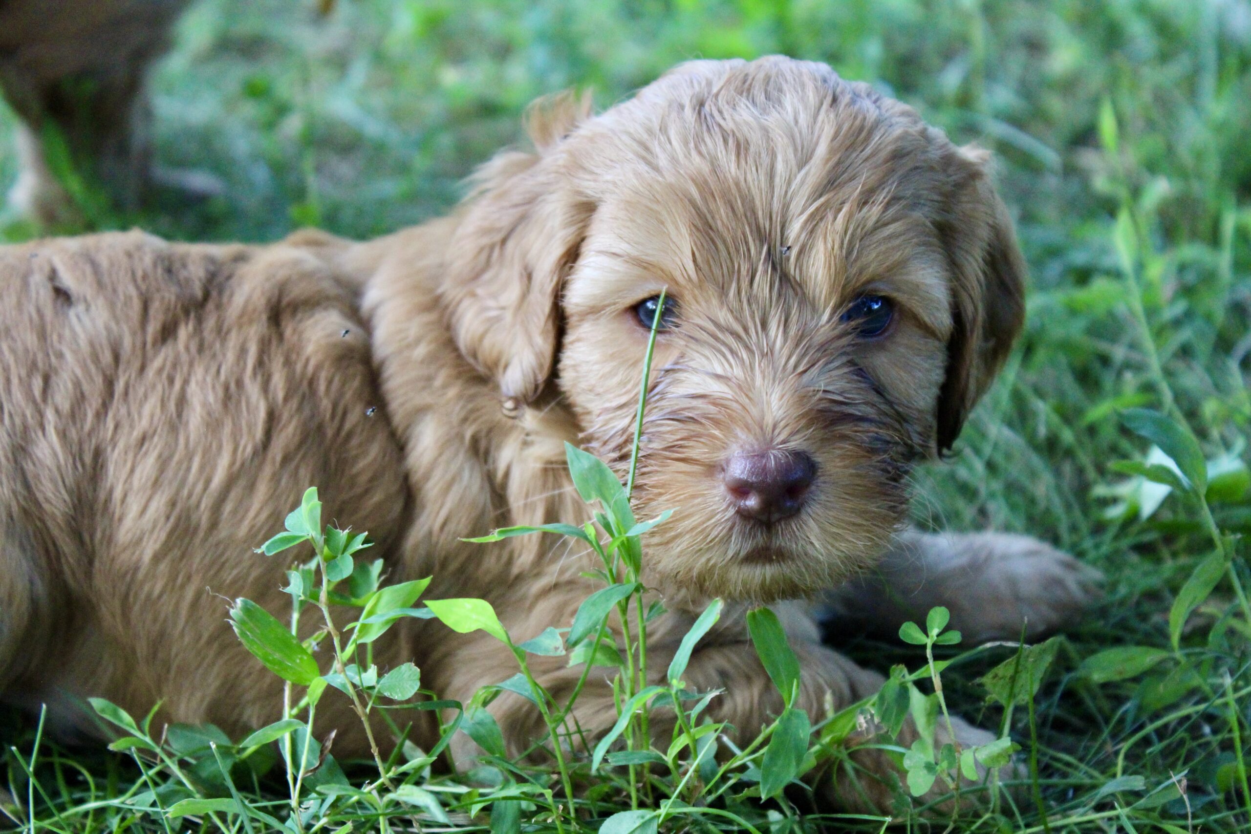 21750916-7C42-4F5E-A41A-344978A19EE3_1_201_a