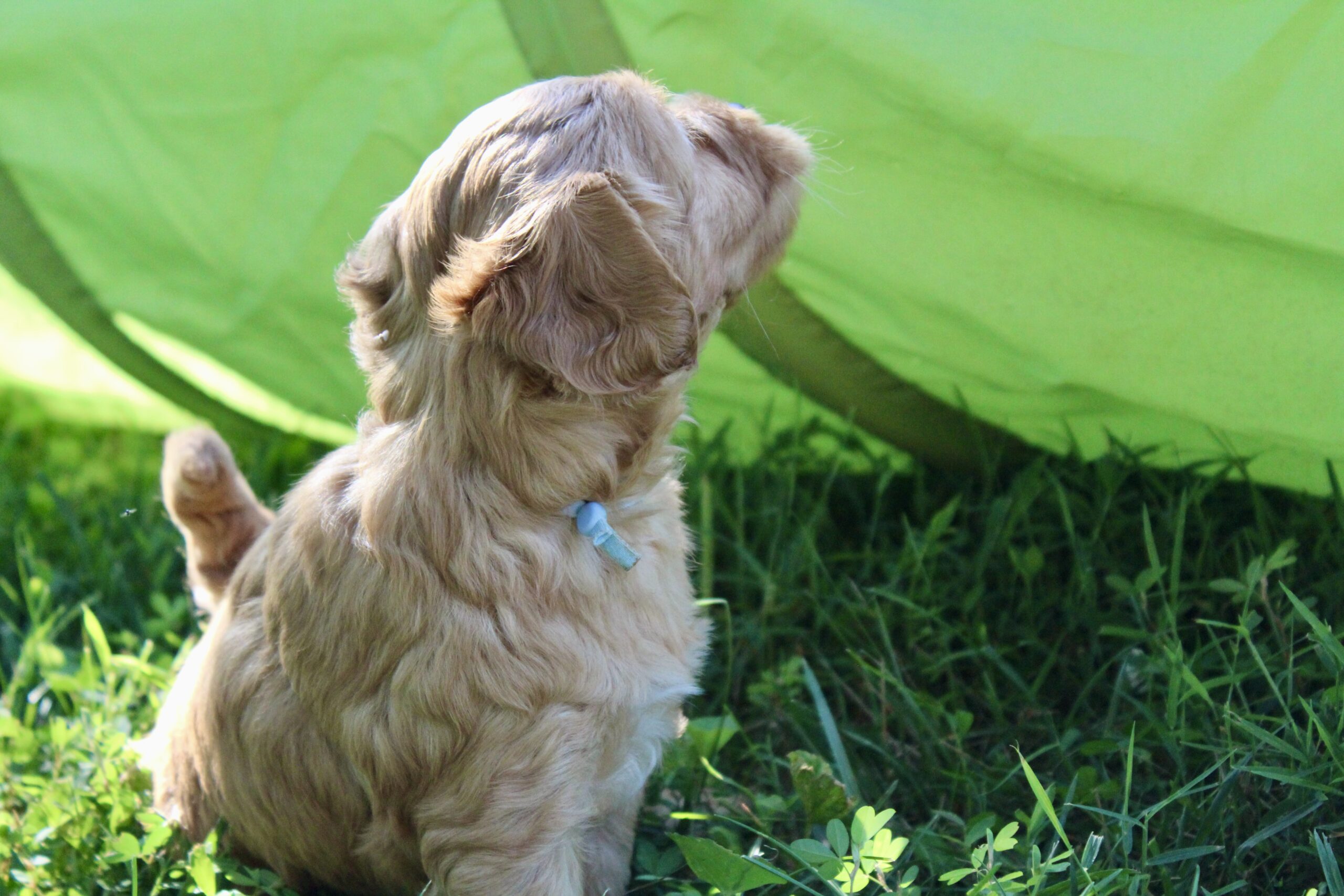 25FC73CC-86F5-4260-8636-AFFA2AFD6738_1_201_a