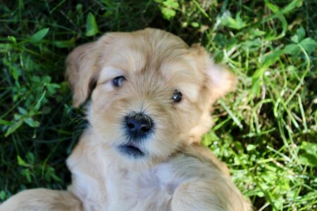 27330B45-5D91-4FAE-AD88-FCD6C369256A_1_201_a