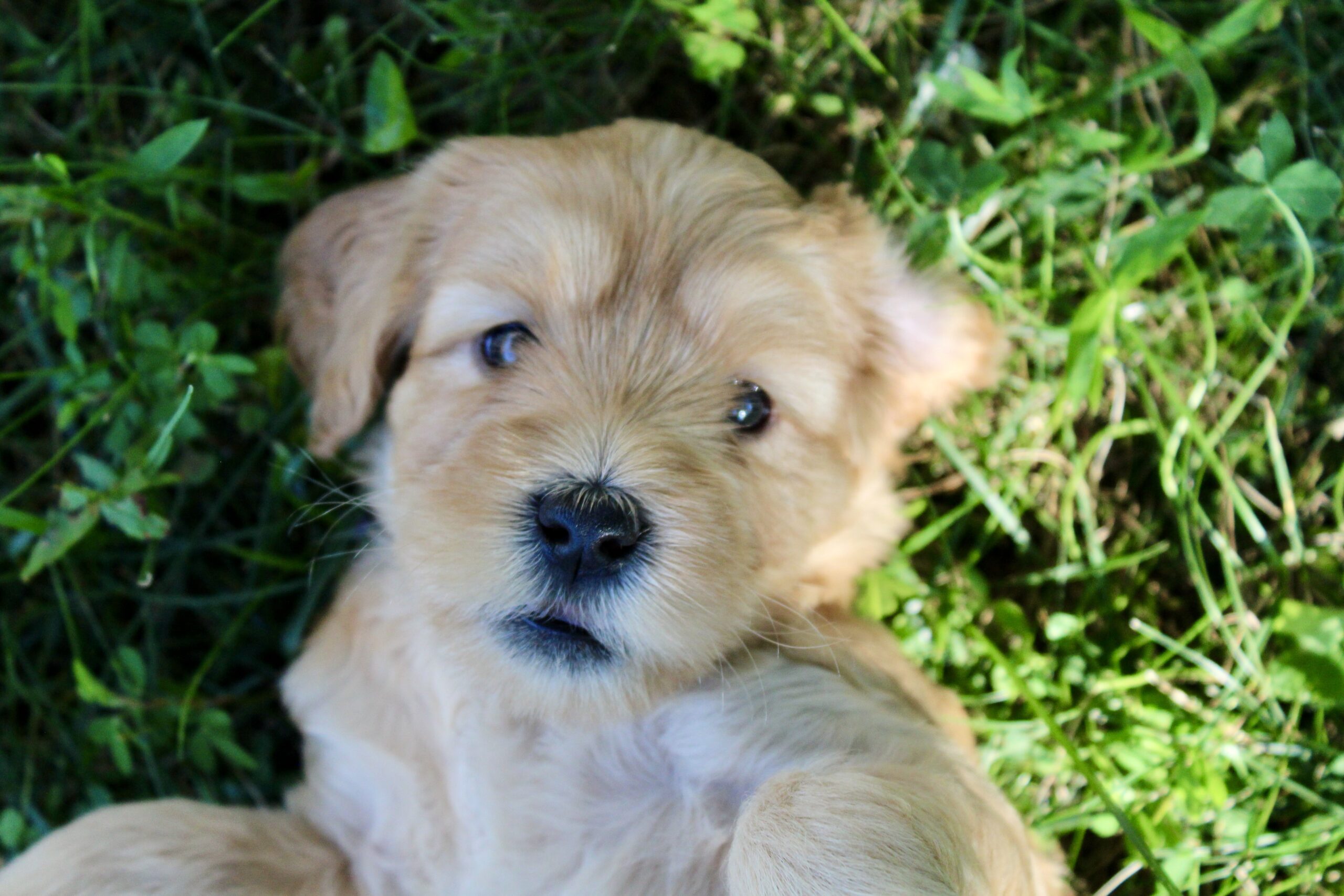 27330B45-5D91-4FAE-AD88-FCD6C369256A_1_201_a