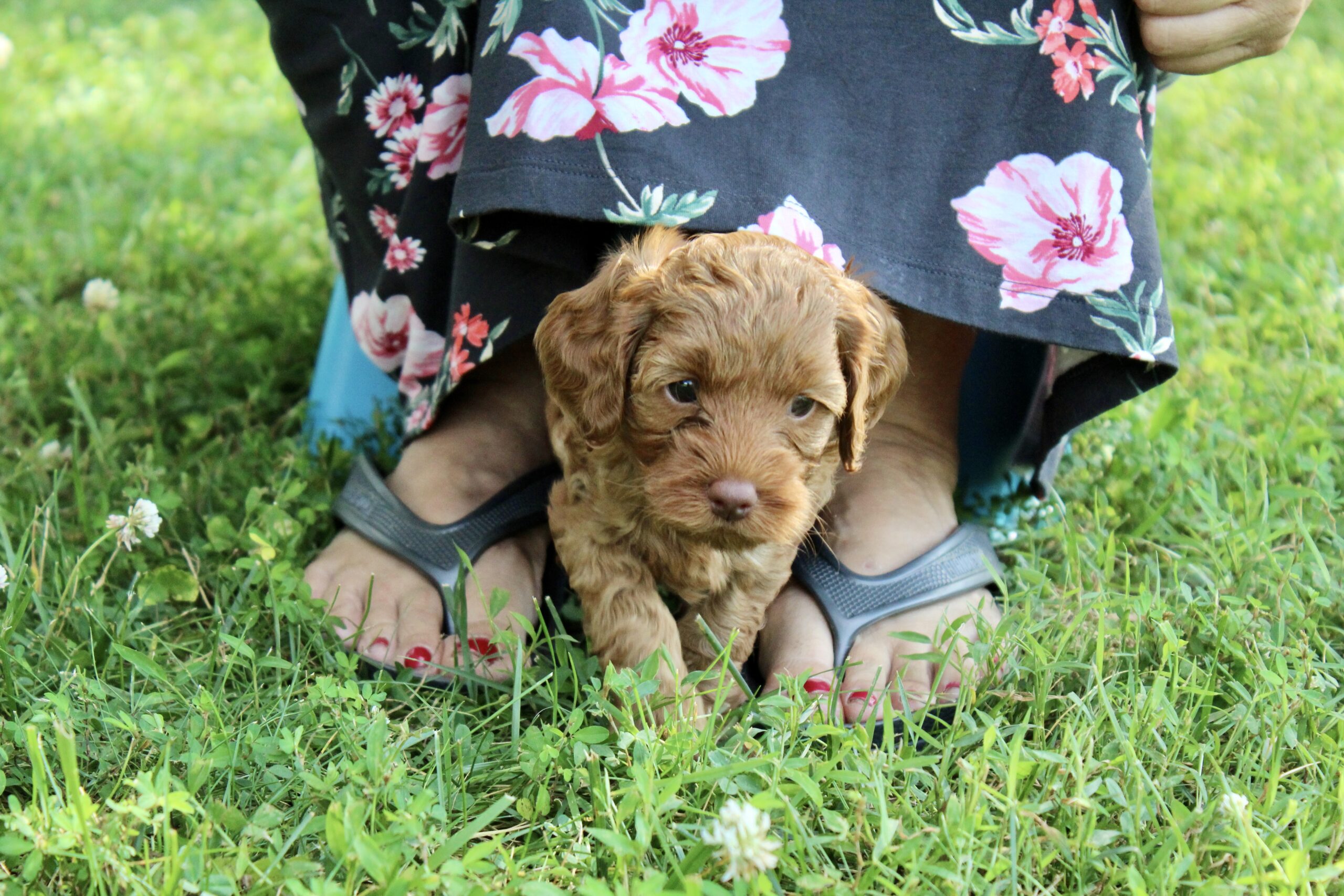 2DB1C3C3-B974-42A0-90C7-C5219625D4F0_1_201_a