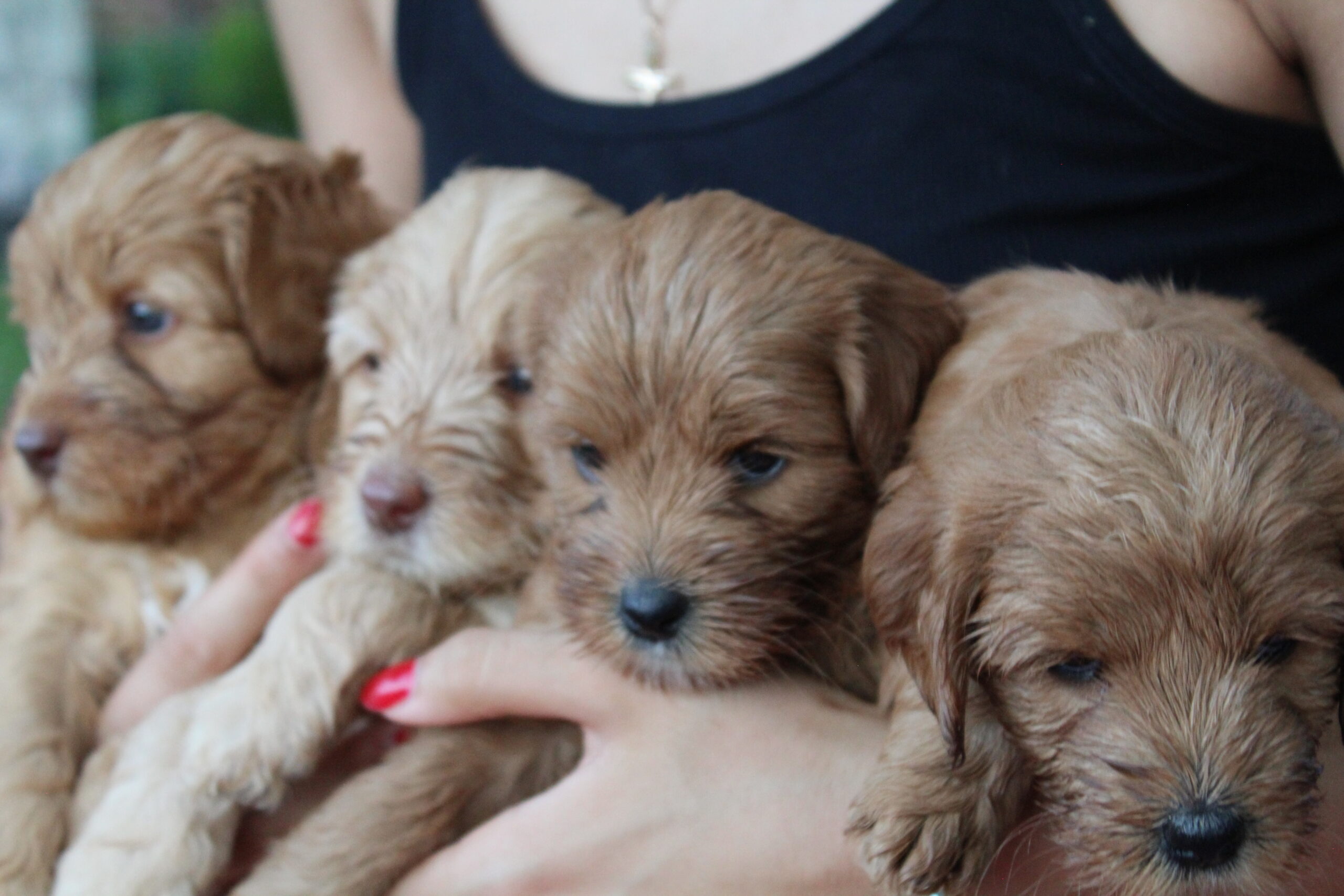 3CCC7A79-38F7-4812-BB50-44754D0EBC18