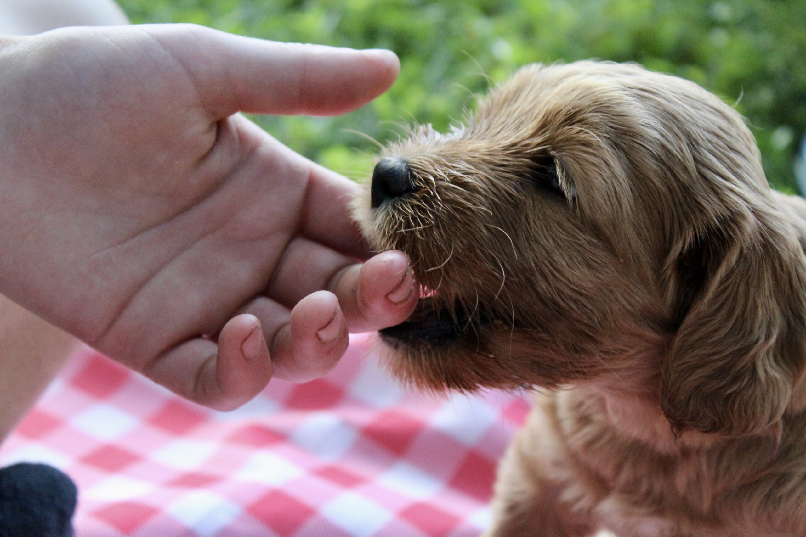 4CC6D466-1BB4-4100-82AE-52749BA56451_1_201_a