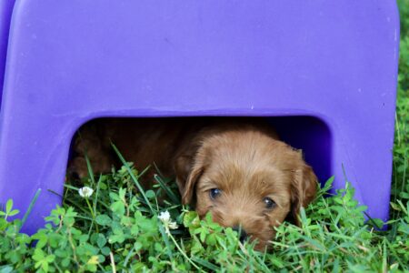 5BEC5925-0DF5-4A9C-BE9C-9E2DC63CF7C4_1_201_a