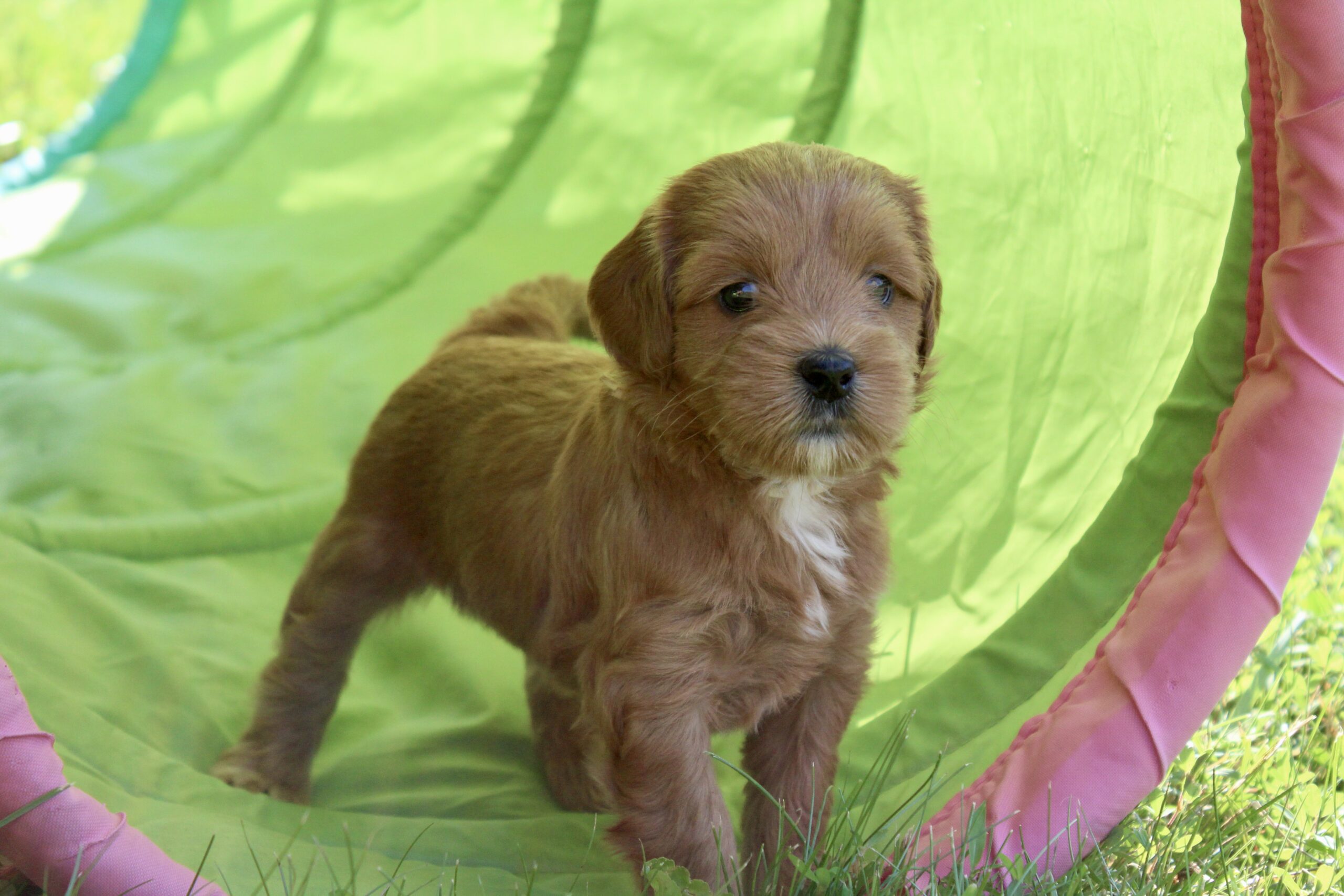 5E5D9E01-1889-48CD-B889-082999DEEC76_1_201_a