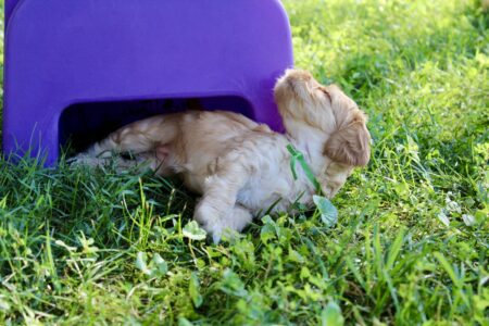 61FC77B8-CA7F-4410-8DEA-20B2708DCDC3_1_201_a