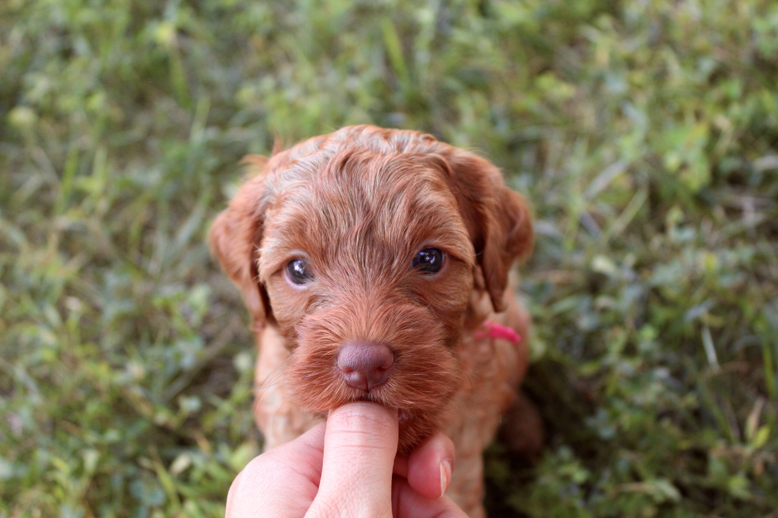 6F01F675-A246-4C25-BF2E-E62A617869DE_1_201_a