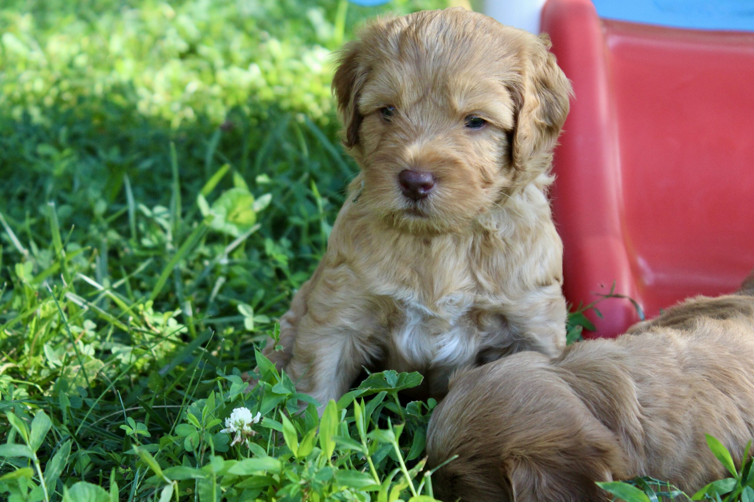 78002894-82D7-4C8A-829C-26DF8528A0EE_1_201_a