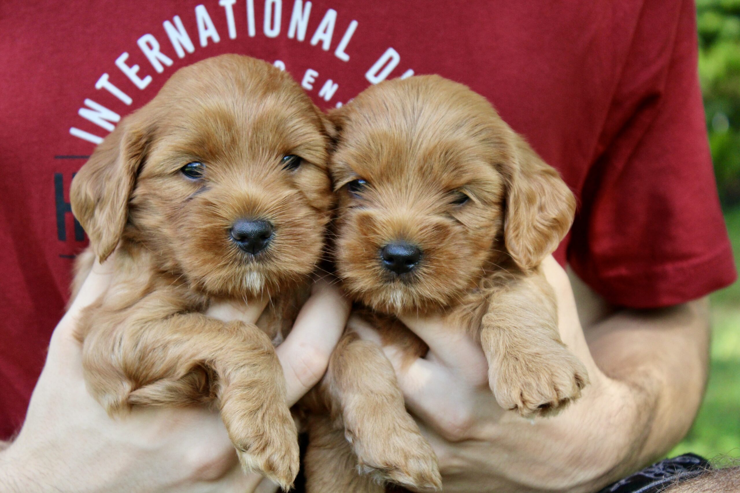 88F5536A-39A5-4590-B17B-3A8FB12492B6_1_201_a