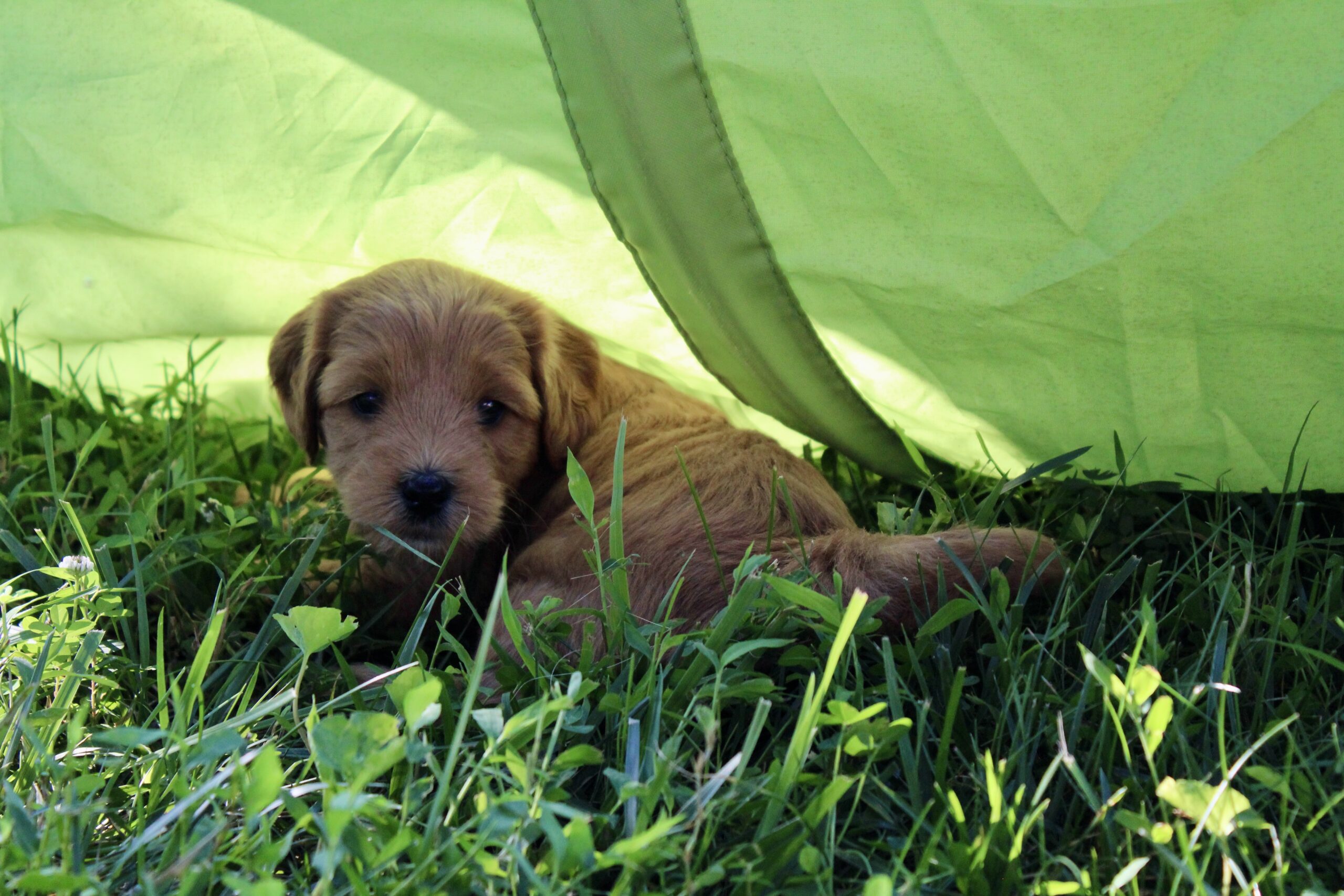 8E4FE431-3877-4BE4-A51A-4779EE660B4F_1_201_a