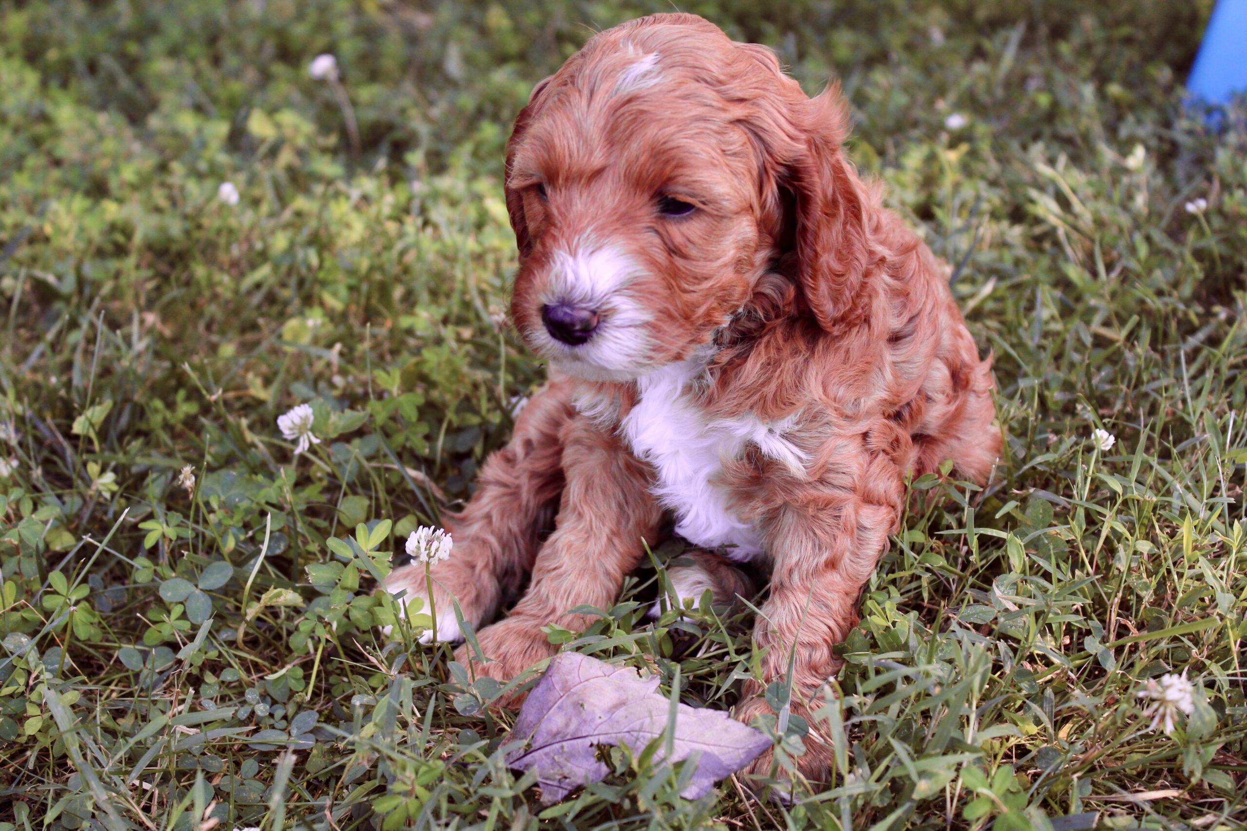 90C2475D-1ABA-4373-9053-4D1A56BD0E18_1_201_a