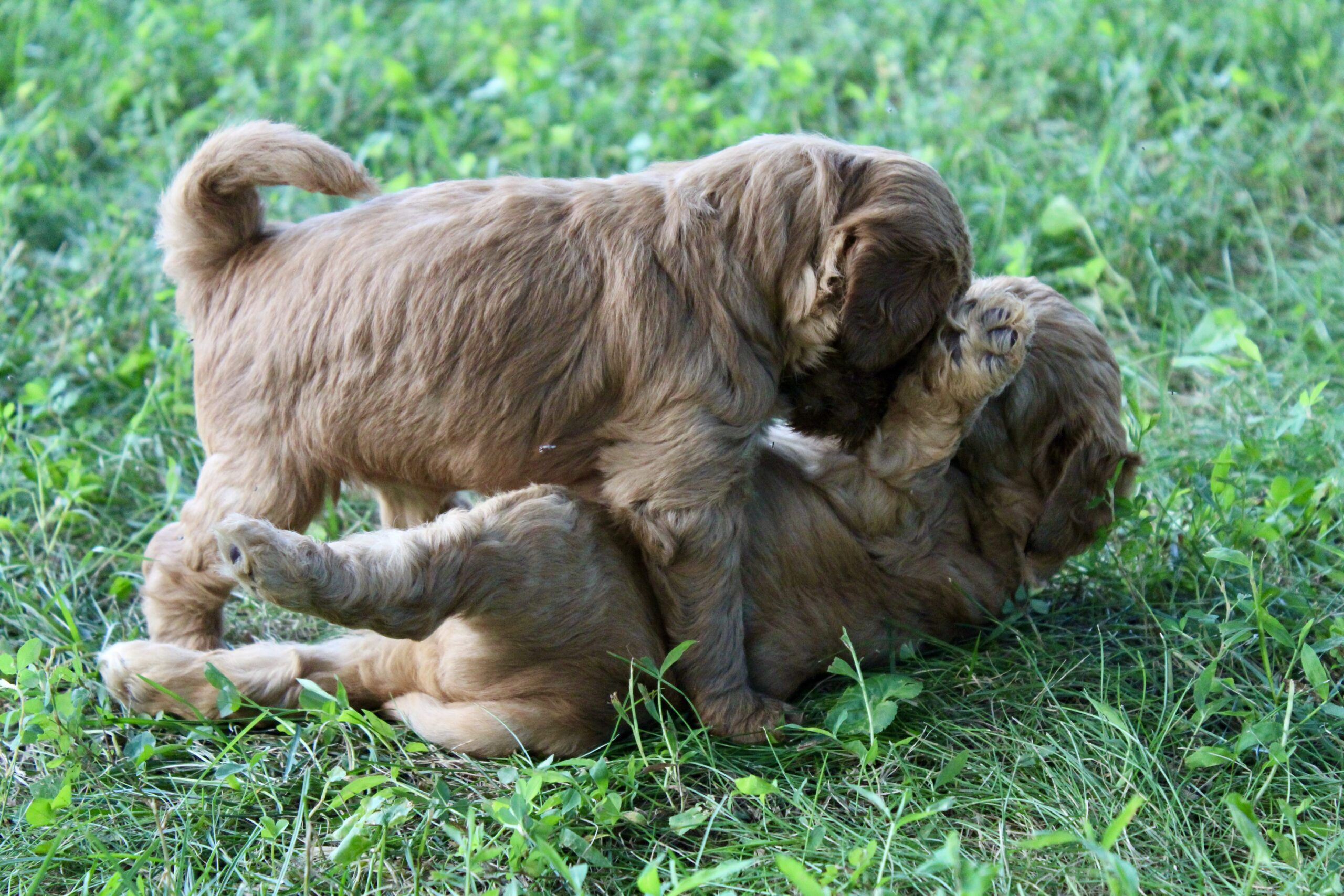 95541E3D-8AFE-4CA6-8DC2-356FFE2B70E3_1_201_a