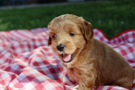 9A05D37F-CA12-46A9-BA71-13F2BB68B148_1_201_a