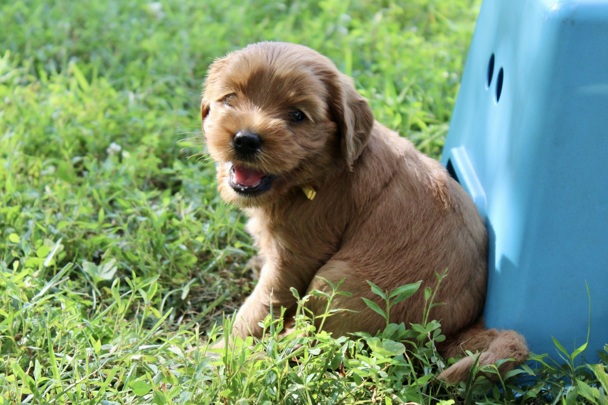 9AF4E7C4-9712-4BDA-AD55-D67E99564F67_1_201_a