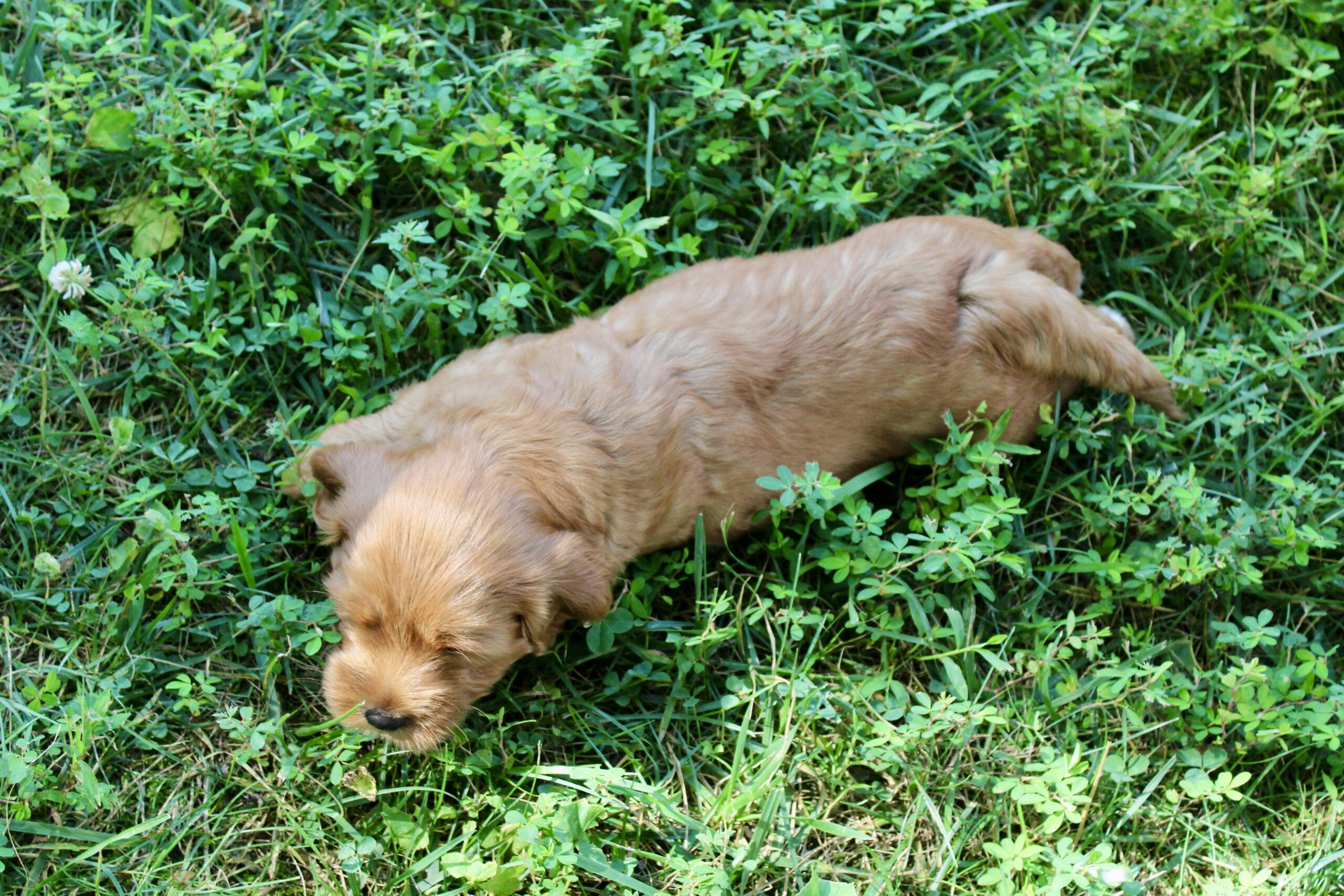 9B52EFBC-8771-4223-B975-7E0A561E01A0_1_201_a