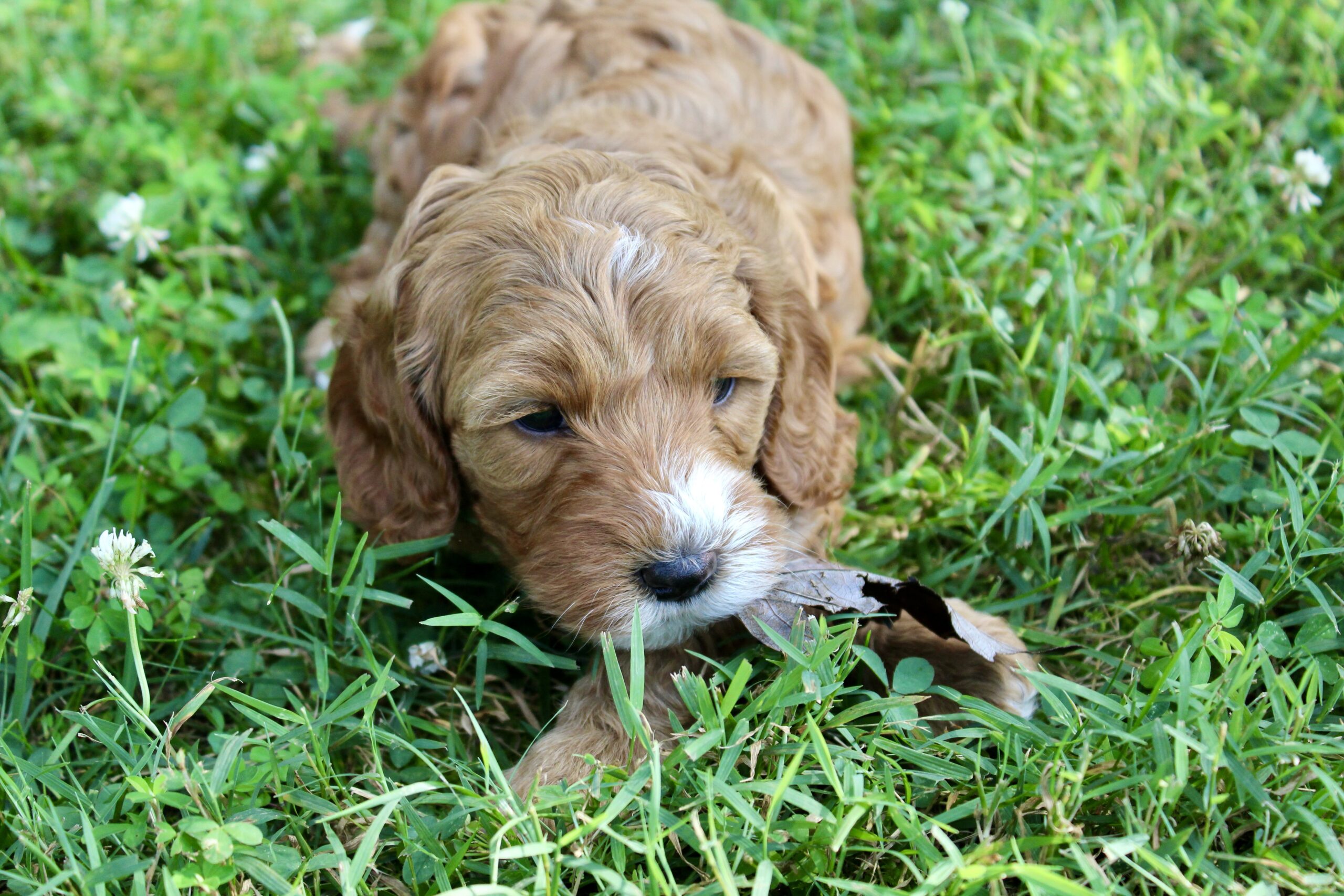 9C0235CE-FFC5-4DBE-AC05-6BD483E53278_1_201_a