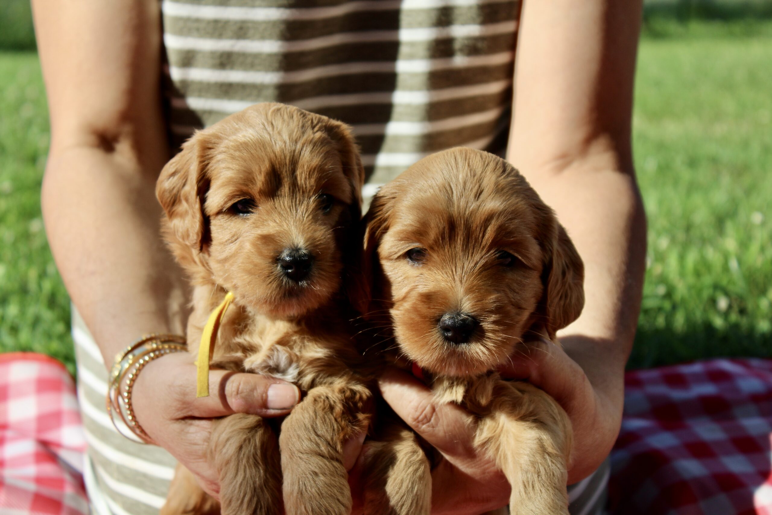 9D212E55-40EE-4BC7-BBFC-C5B1149A79DA_1_201_a