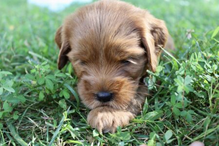 A48DBB38-CCB5-4BF3-A1AC-737EA09F1E79_1_201_a