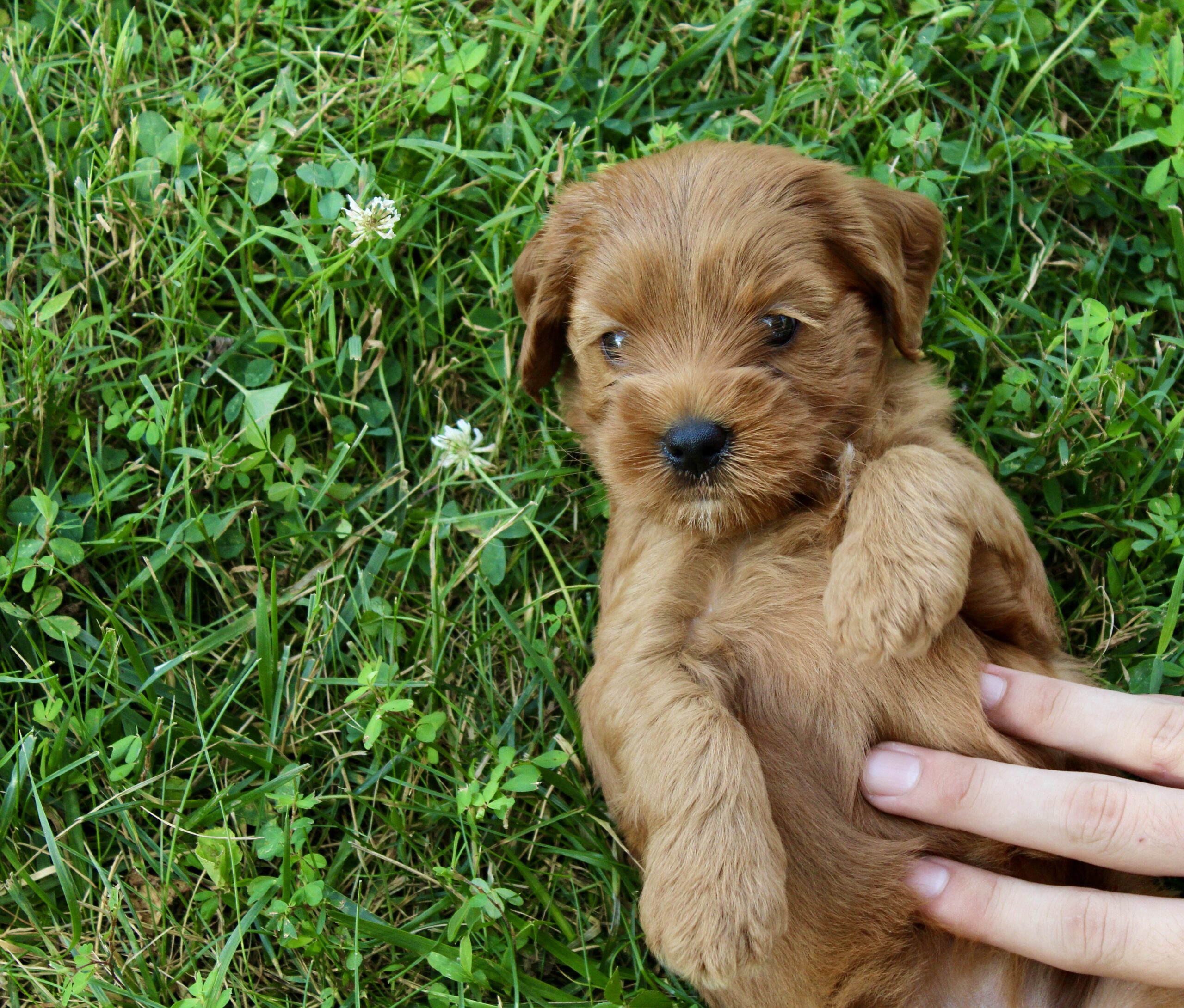 AE5157FF-0A97-42A7-8287-DC893ACD2C59_1_201_a