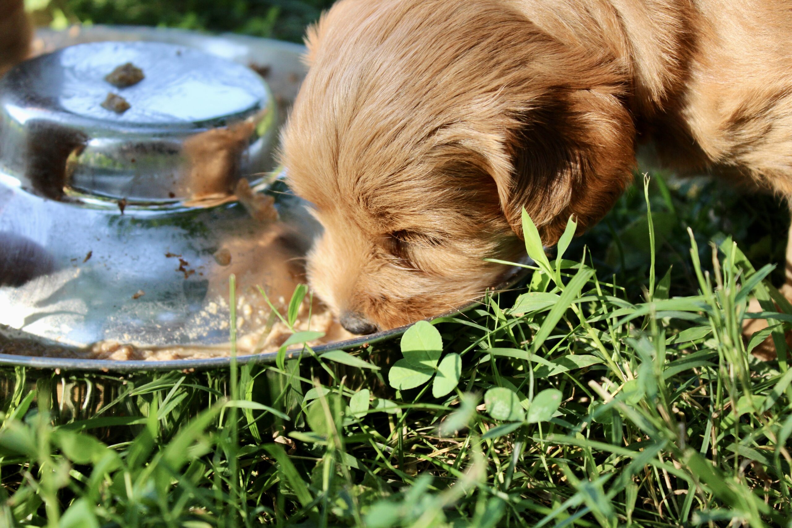 B01C09C8-81E9-441B-A8BE-B3B1379CAFBC_1_201_a