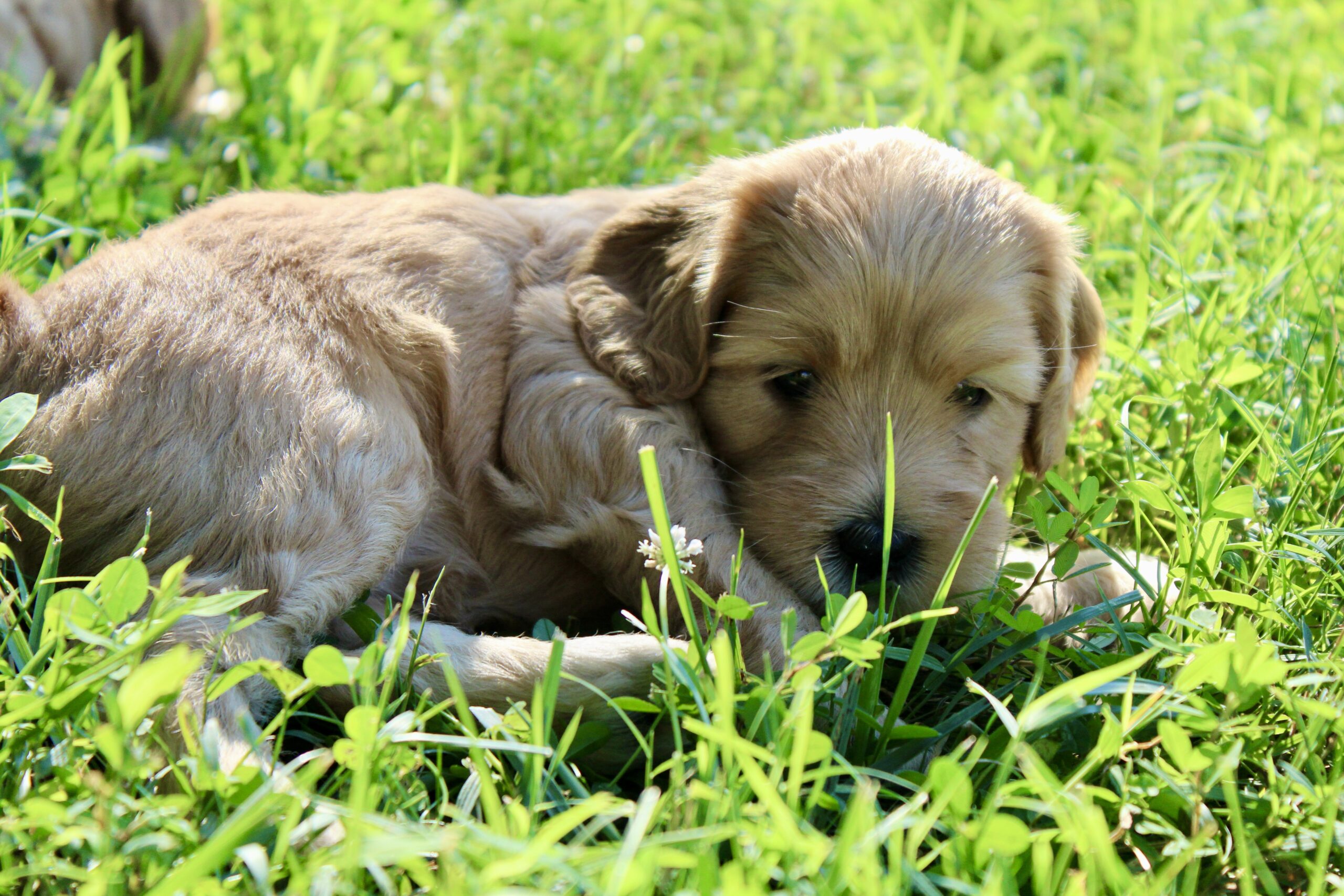 BB20DF08-32BA-48E4-AB19-791BF1E523B4_1_201_a