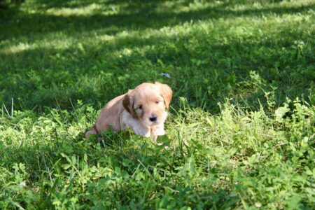 C7F28C61-175E-412C-B2C6-8C0332C74997_1_201_a