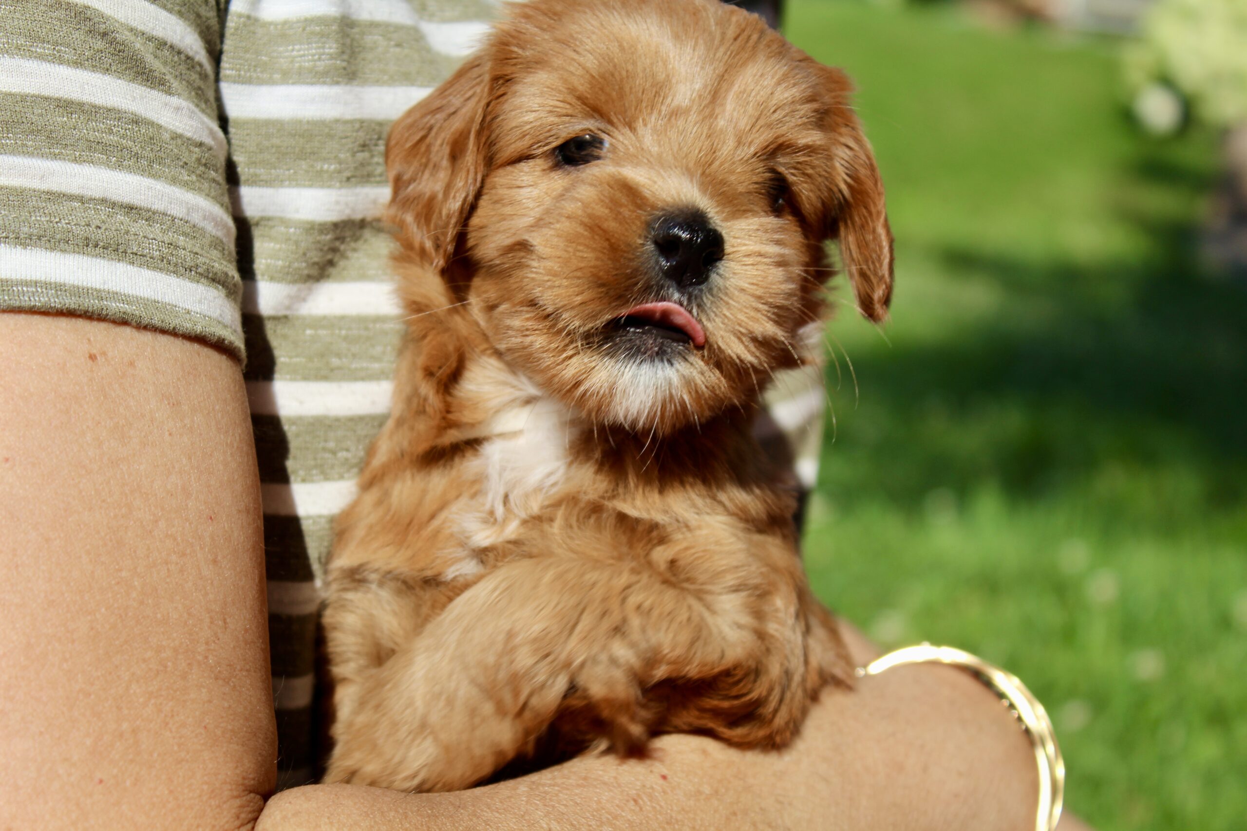 C8DC86DE-4ED9-4E2C-B910-3822DFC6B0FC_1_201_a