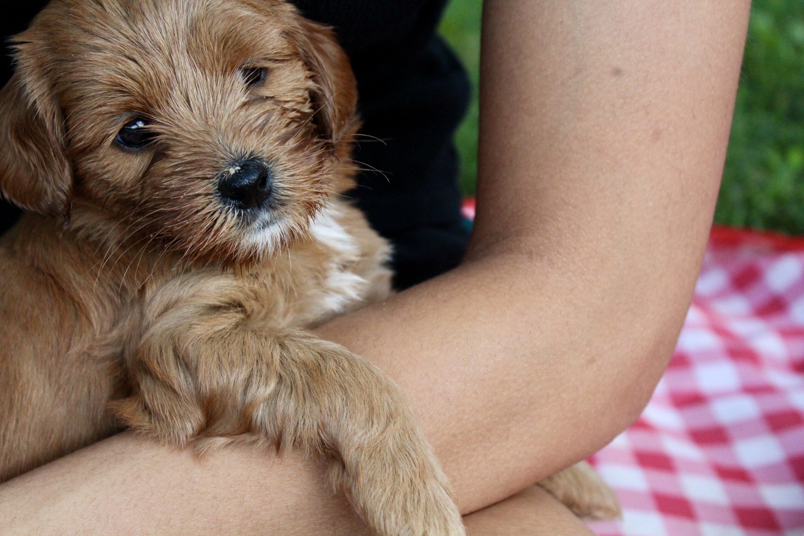 CFF75171-79E0-4677-B36C-D0B316413193_1_201_a