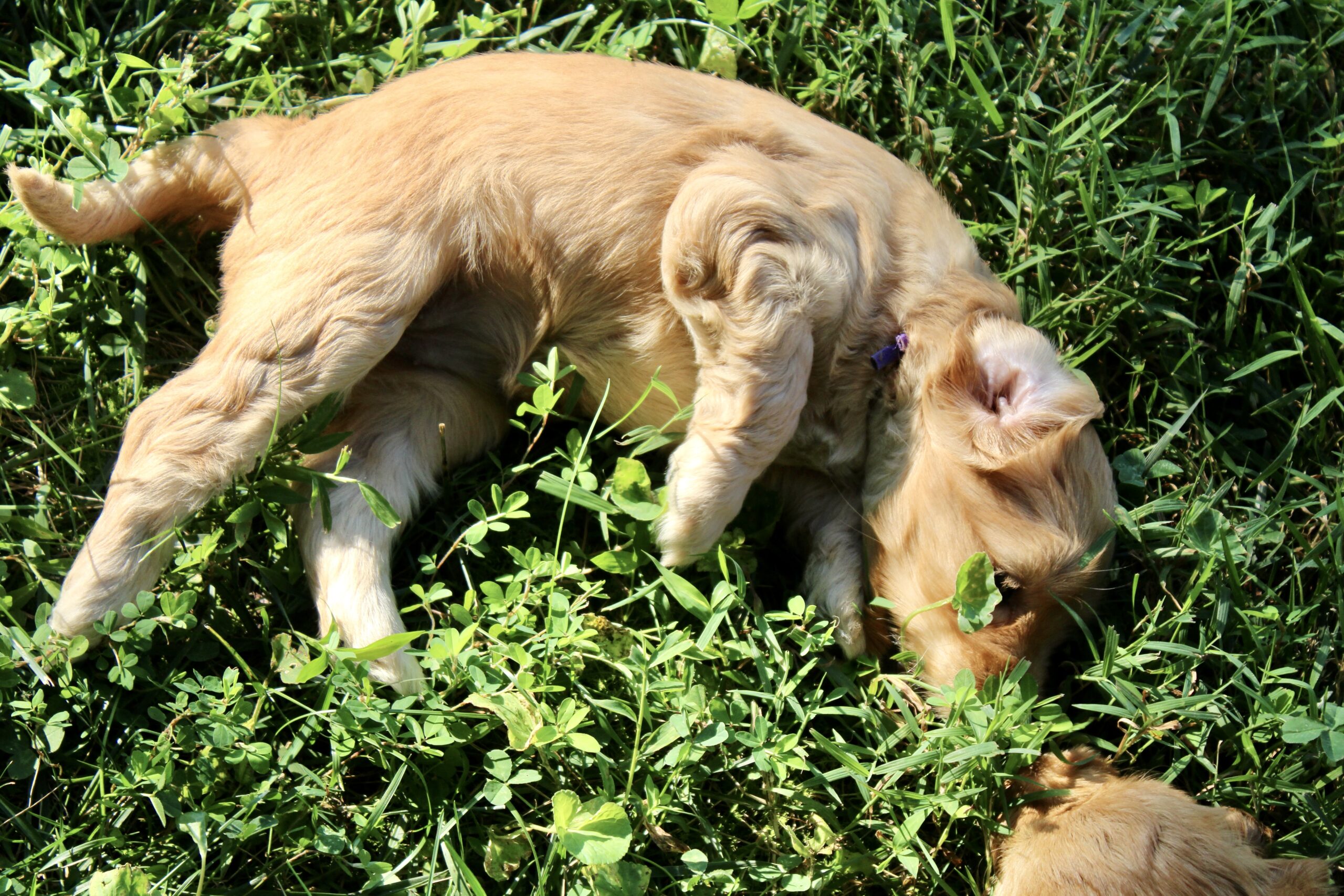 D3061238-0AC7-4296-B9D2-DF7A9F6EE0D0_1_201_a