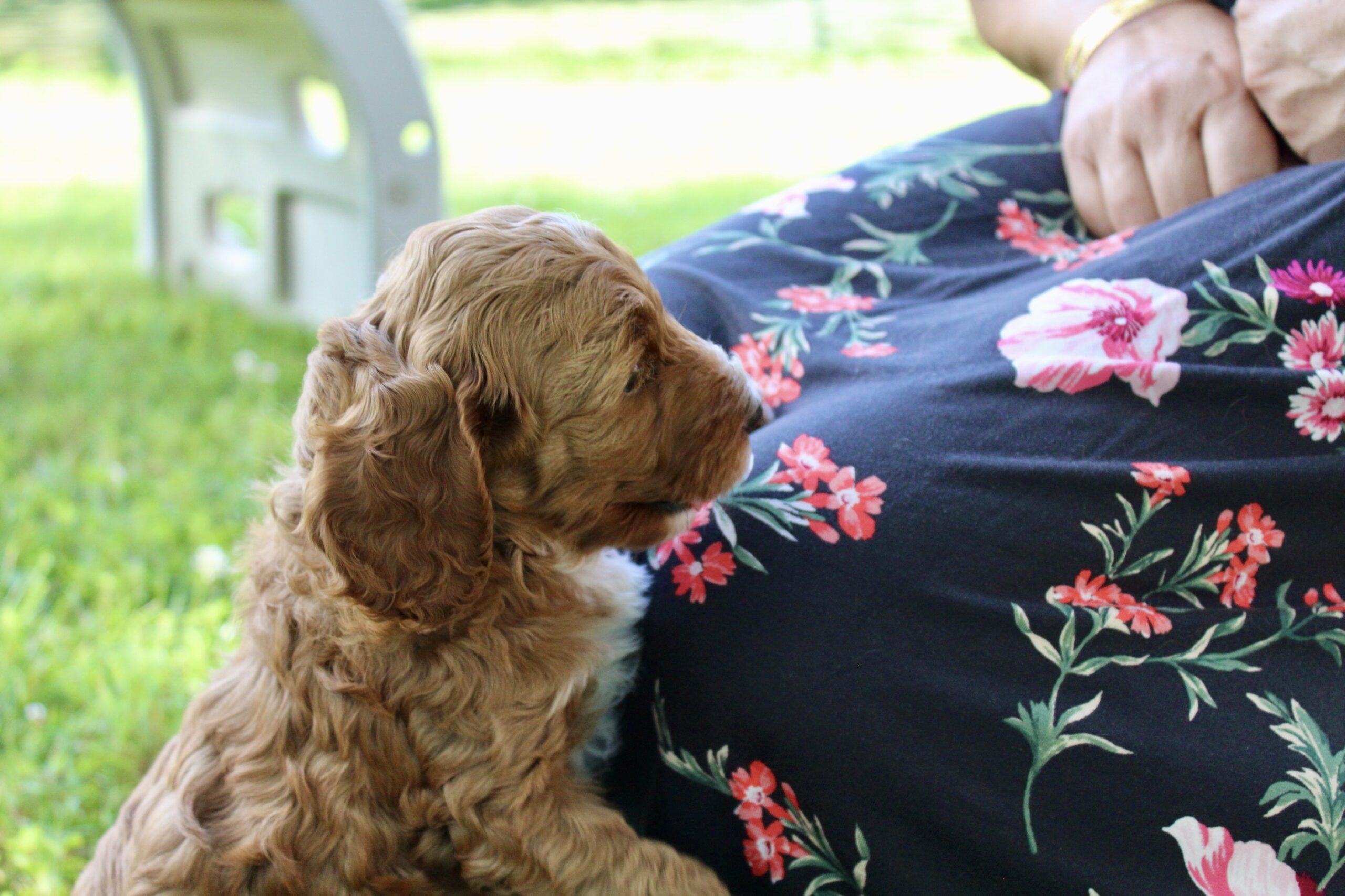 D989D96D-F8BB-4140-82C1-9AC78850DB8E_1_201_a