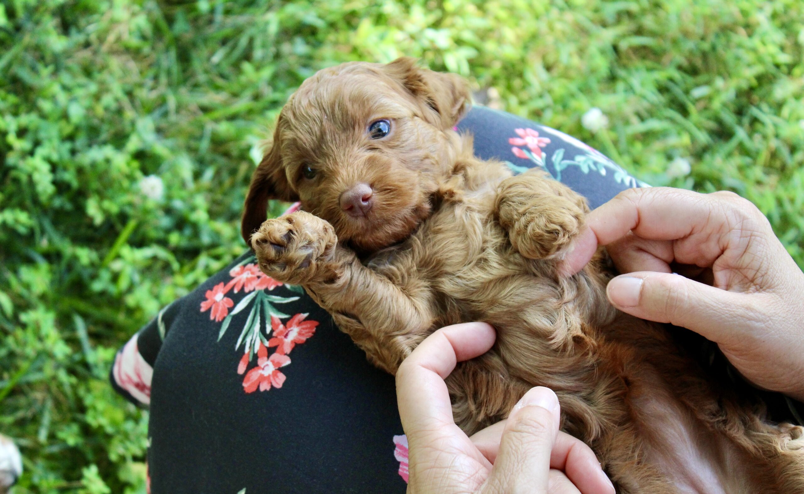 DAB49C9D-B7DD-40F9-A8DC-990A553B8D36_1_201_a