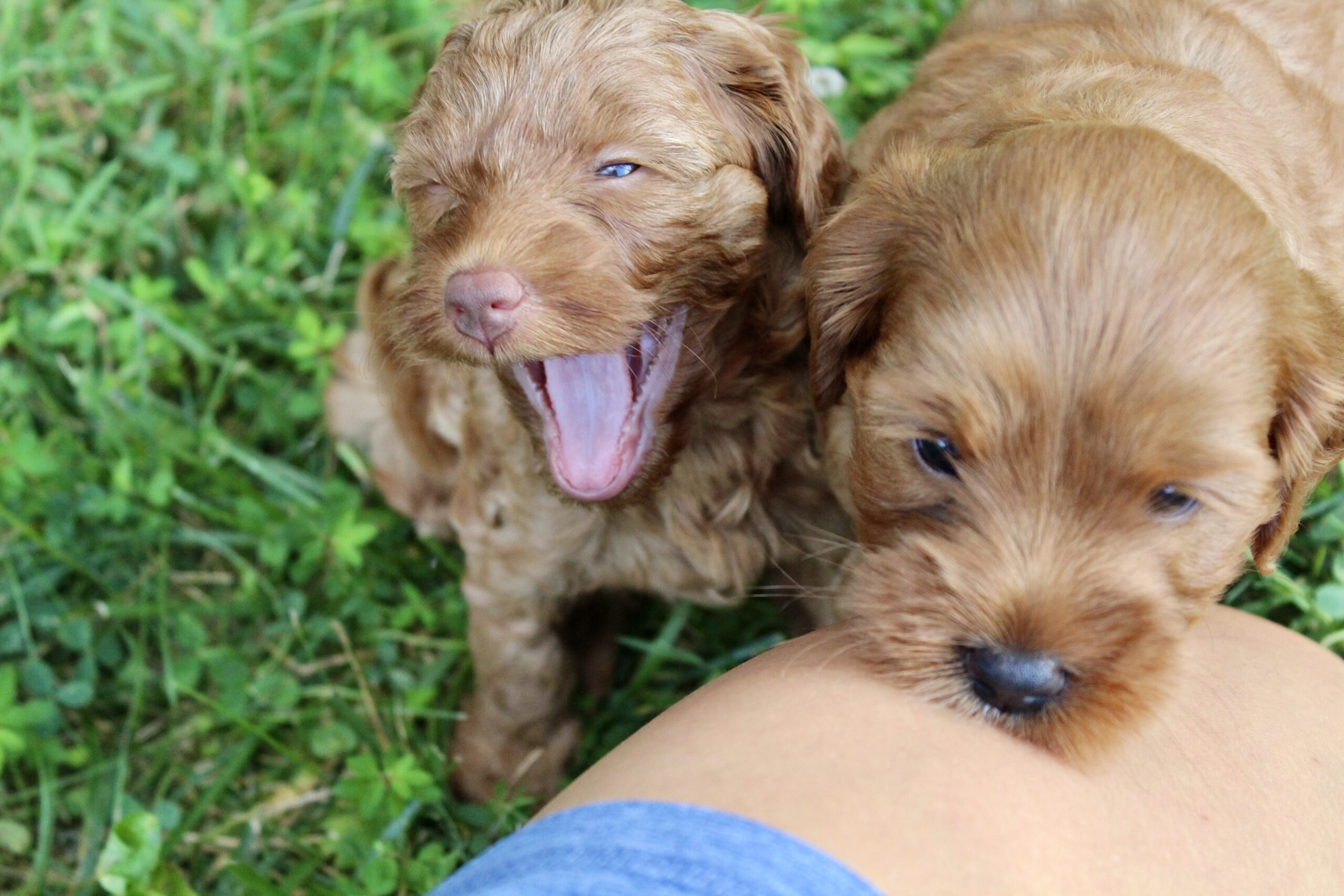 E5C8771E-F74C-4AB4-BABA-3286064AA326_1_201_a