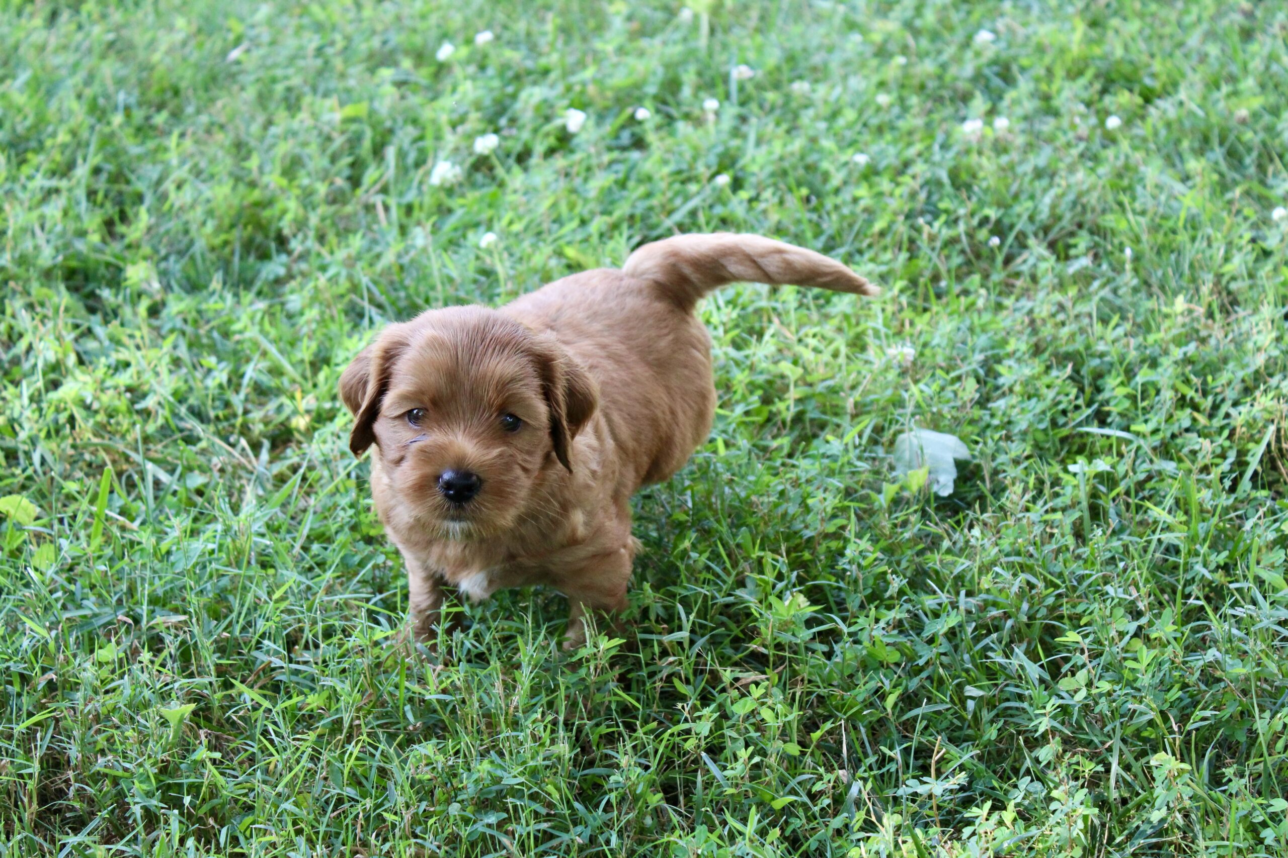 ECC7830C-2DB4-4BA3-818C-0F435629B31B_1_201_a