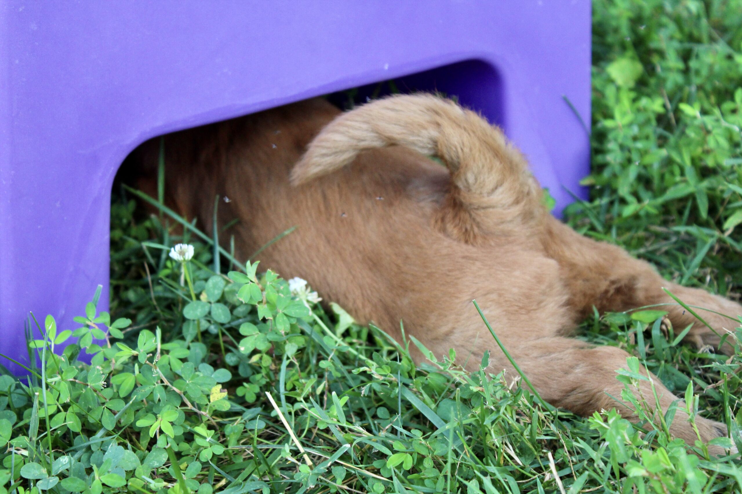 EF0A3C88-4631-45EA-92A1-D7D369F007B0_1_201_a