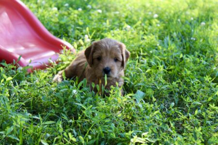 EF9BC7E3-4019-45E9-B332-9FC309EE9210_1_201_a