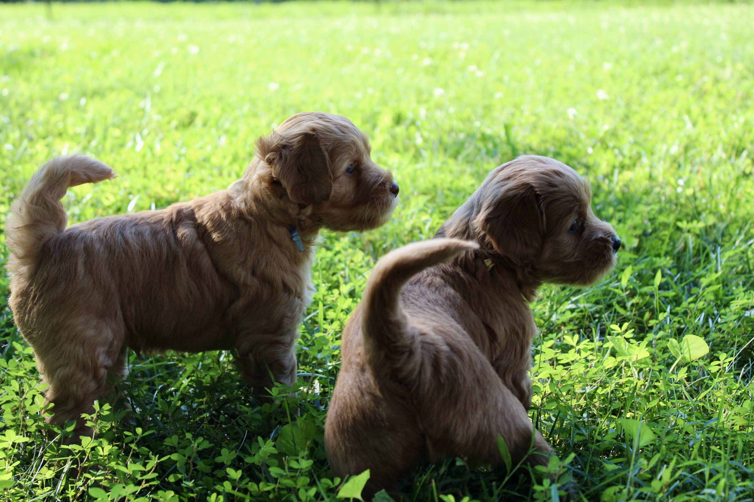 FB6C799A-CFAE-4A32-917F-1F02E1F99D23_1_201_a