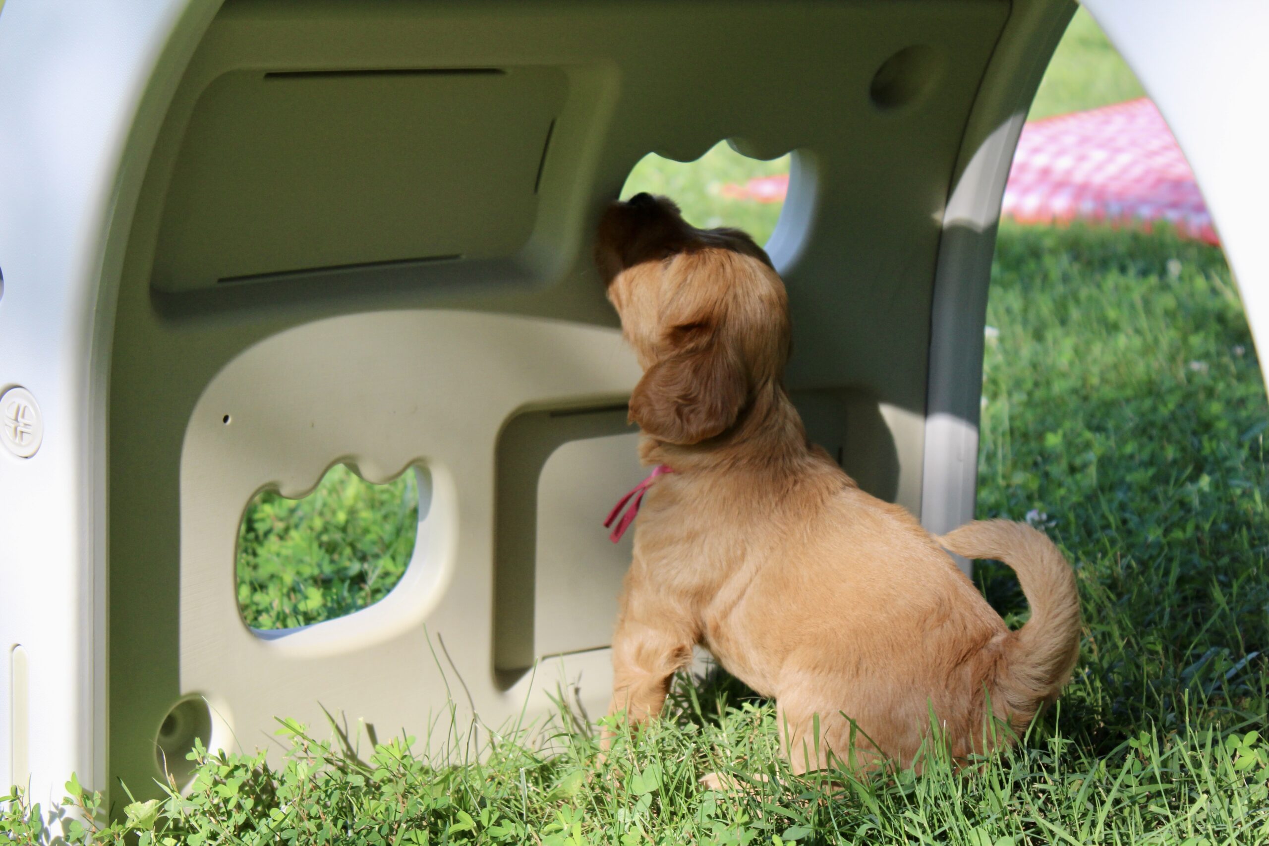 FBBC037C-EF97-43F6-8060-F97986B3F528_1_201_a