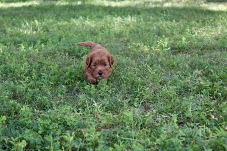 FE0988BE-D644-4F93-AE71-86A44AF72407_1_201_a