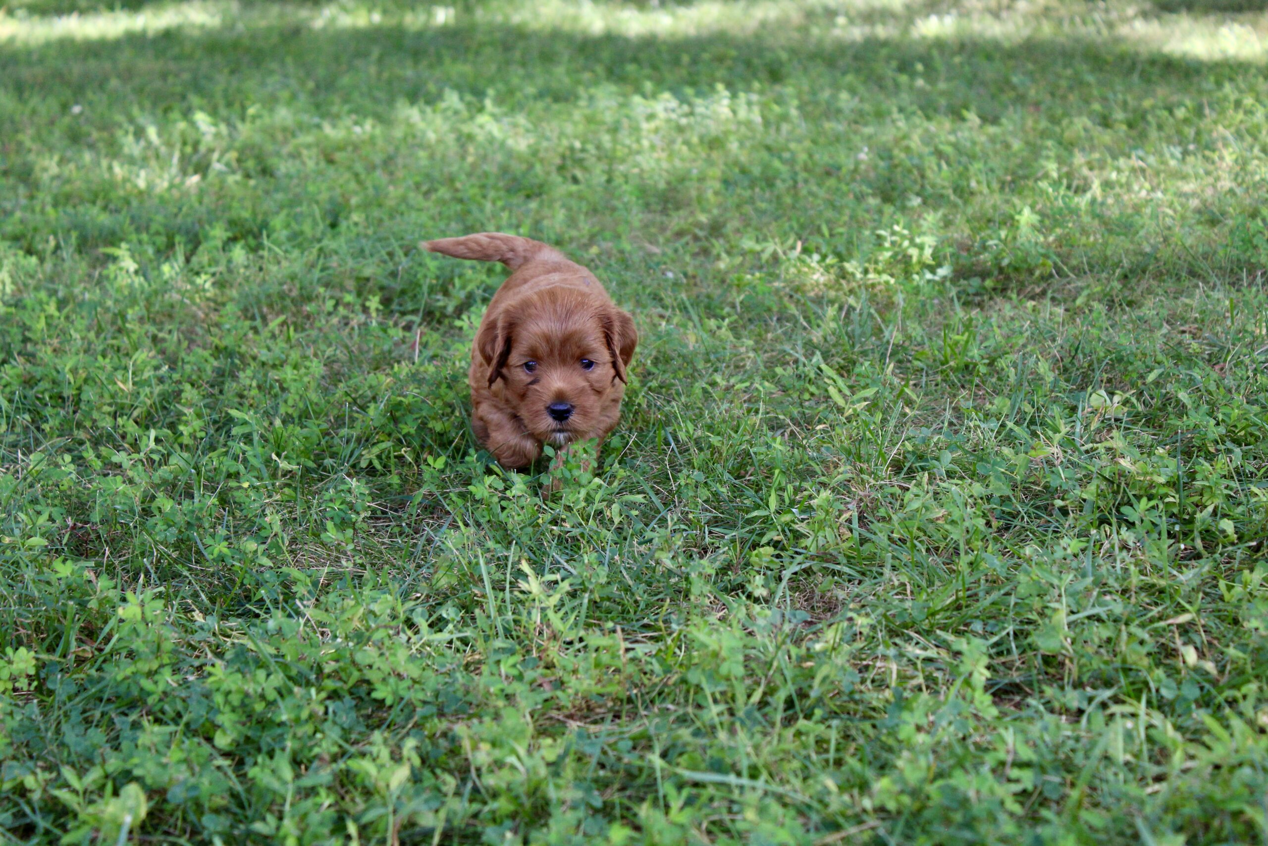 FE0988BE-D644-4F93-AE71-86A44AF72407_1_201_a