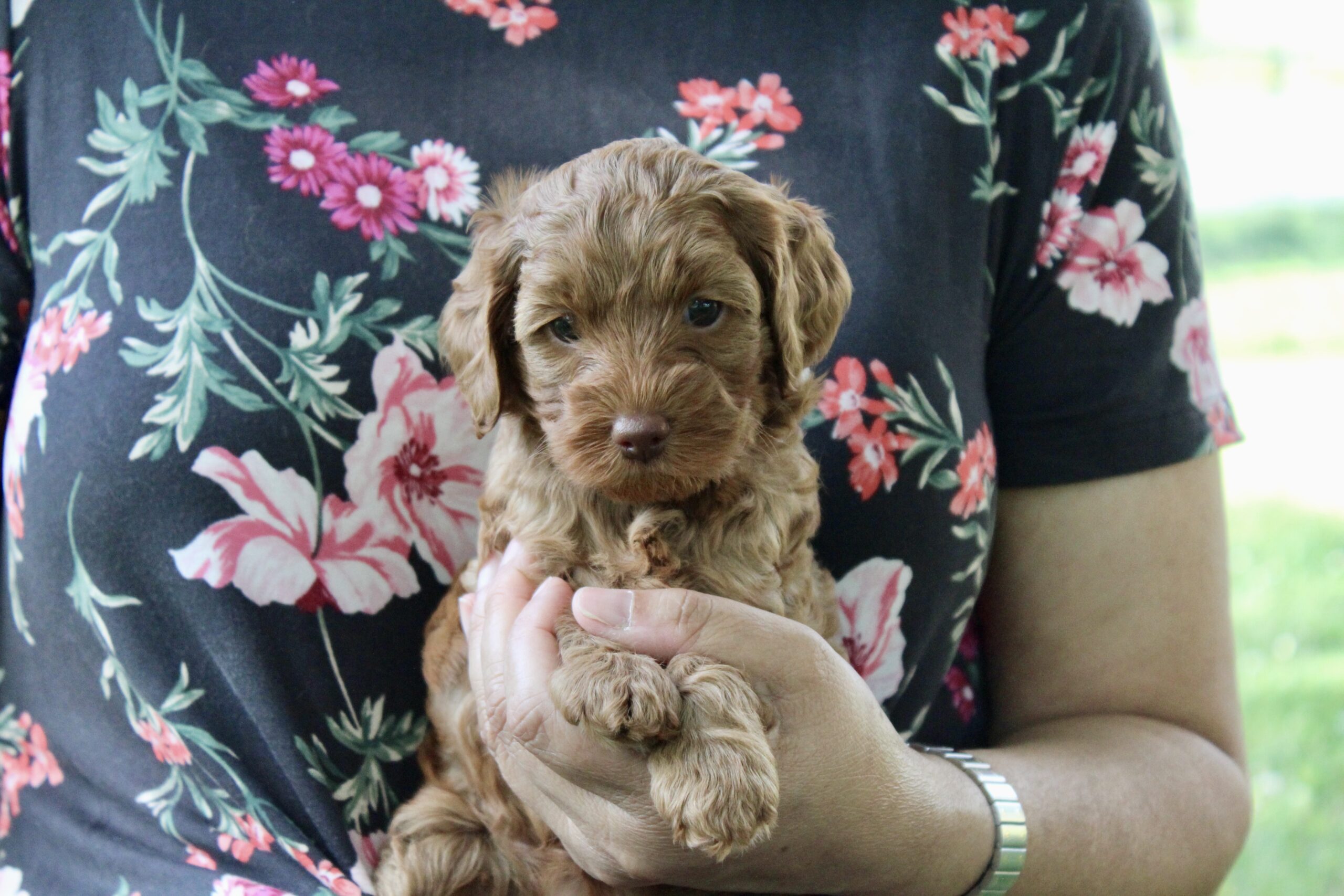 FE3FBA2D-530E-468B-B07D-B7EA74E14FA1_1_201_a