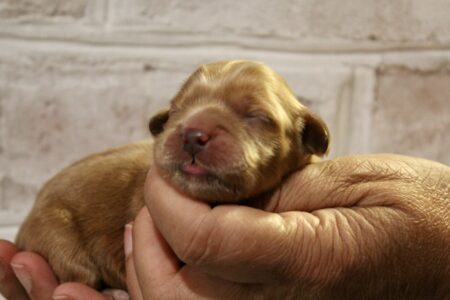 05010DDC-9FD7-4687-BBBC-9F050D69CF5B_1_201_a