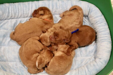 065881A7-AE1B-4FFA-97F6-9F6E912350F8_1_201_a