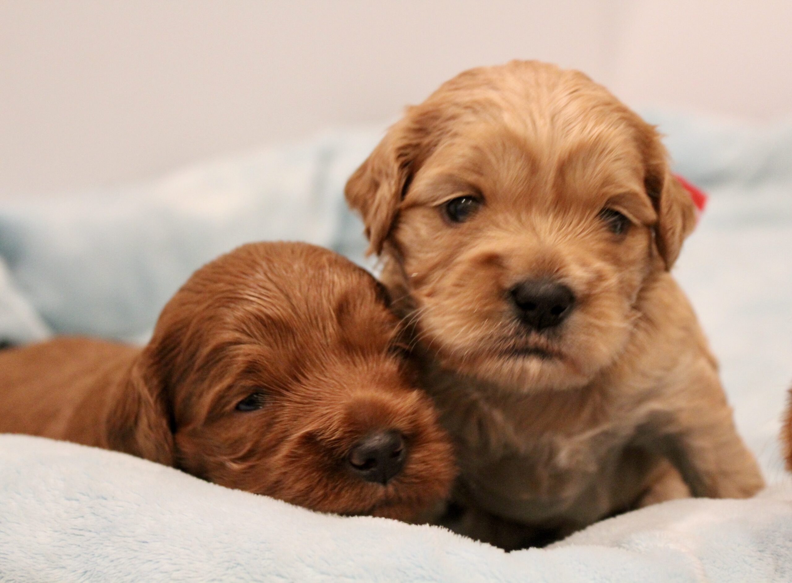 094D55EC-BCB5-447B-92DA-6014D37FAADE_1_201_a