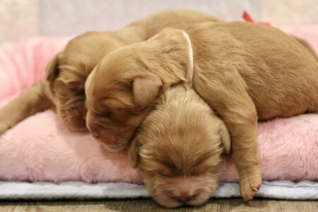 172421B5-D82F-484A-A840-6D9FD9EDFAD6_1_201_a