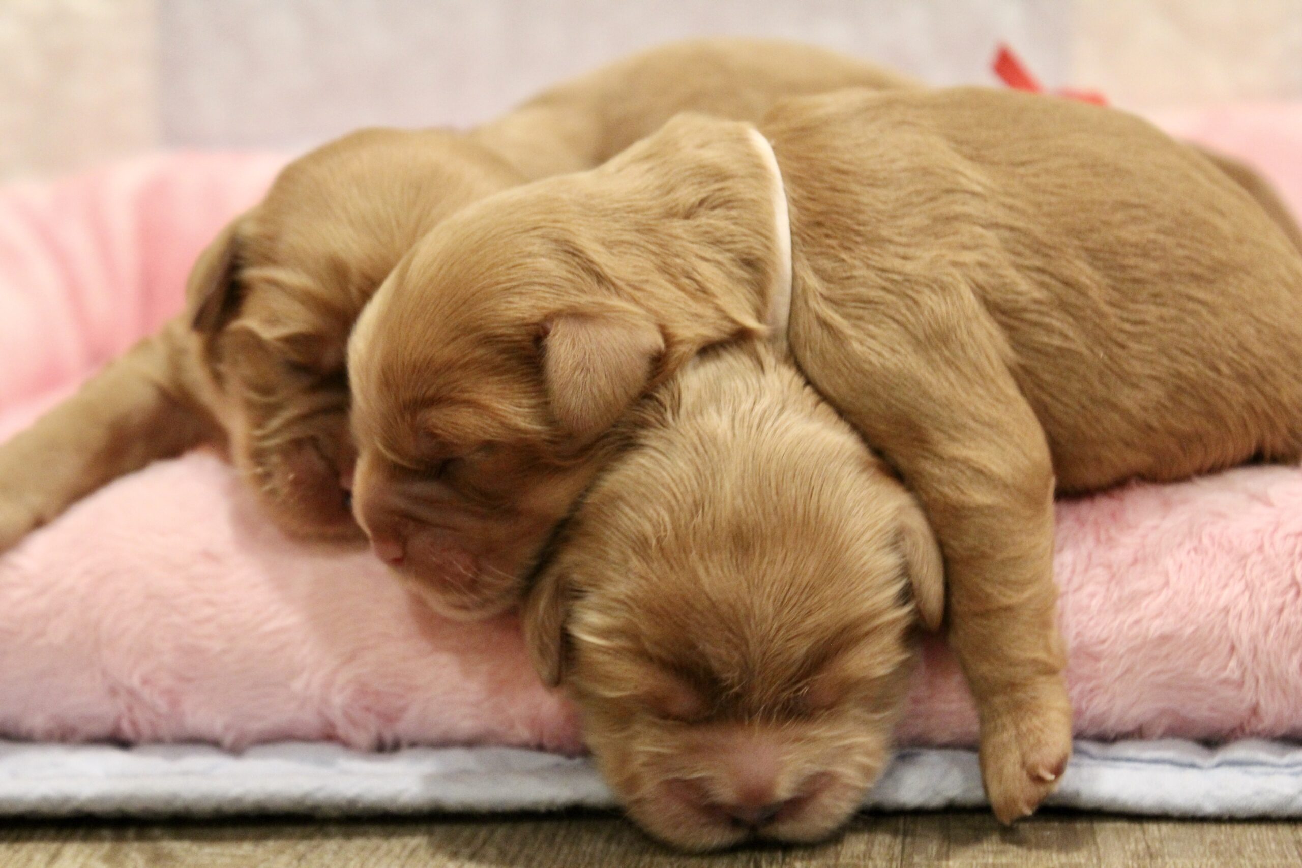 172421B5-D82F-484A-A840-6D9FD9EDFAD6_1_201_a