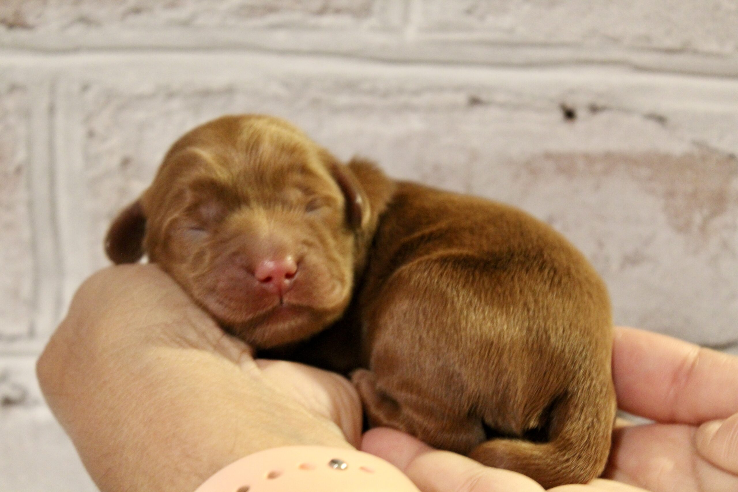 1DD50401-BF7C-46FF-9F66-ECE701BEE86A_1_201_a